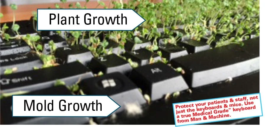 MMI illustration showing plant growth and mold growth around the keys of an open-style keyboard